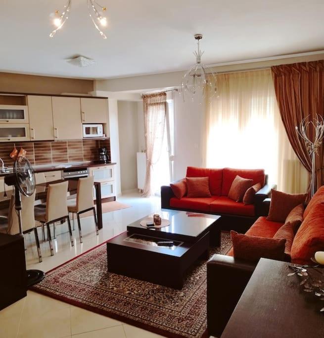 Evaggelia'S Apartments 5 Οικογενειακό Διαμέρισμα Kozani Zewnętrze zdjęcie