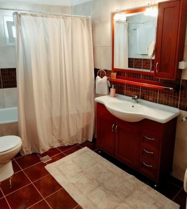 Evaggelia'S Apartments 5 Οικογενειακό Διαμέρισμα Kozani Zewnętrze zdjęcie