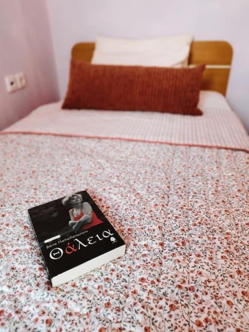 Evaggelia'S Apartments 5 Οικογενειακό Διαμέρισμα Kozani Zewnętrze zdjęcie